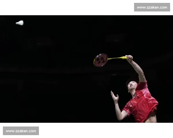 羽毛球世界巡回赛，年轻力量崛起，老将们能否守住荣耀